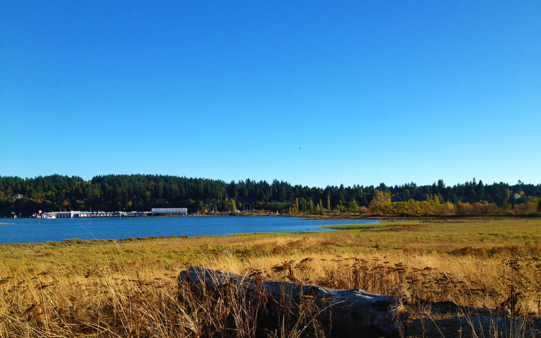 Blackie Spit Park